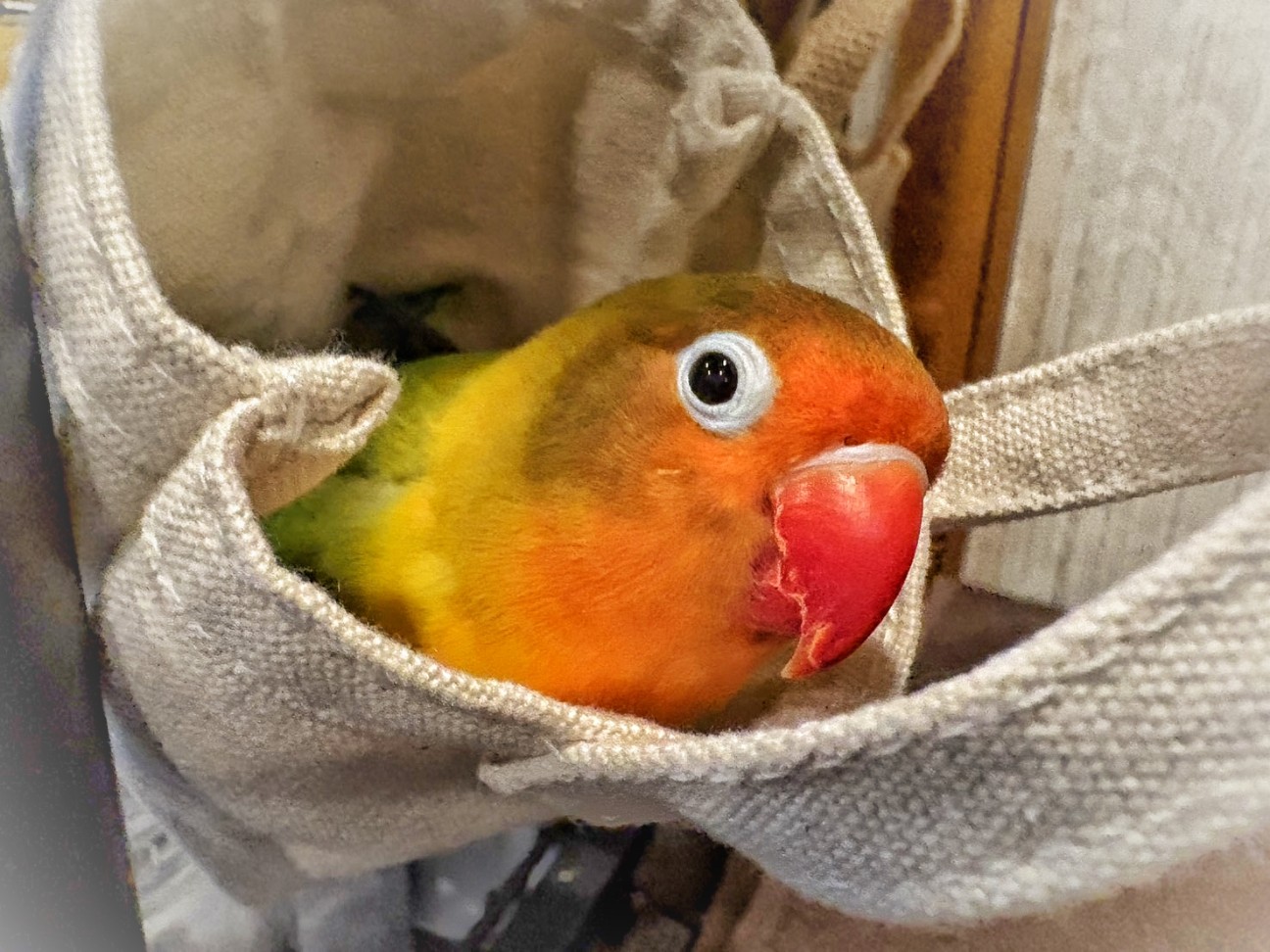 f:id:bin-paku:20260109234129j:image