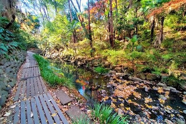 f:id:bin-paku:20260111084935j:image