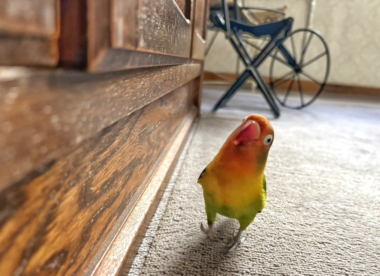 f:id:bin-paku:20260112092301j:image