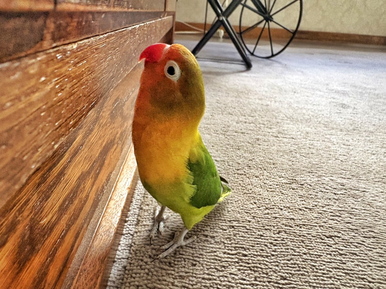 f:id:bin-paku:20260112092331j:image