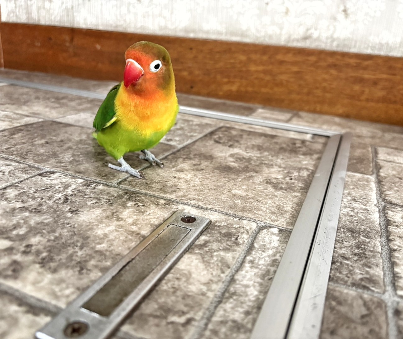 f:id:bin-paku:20260112092402j:image