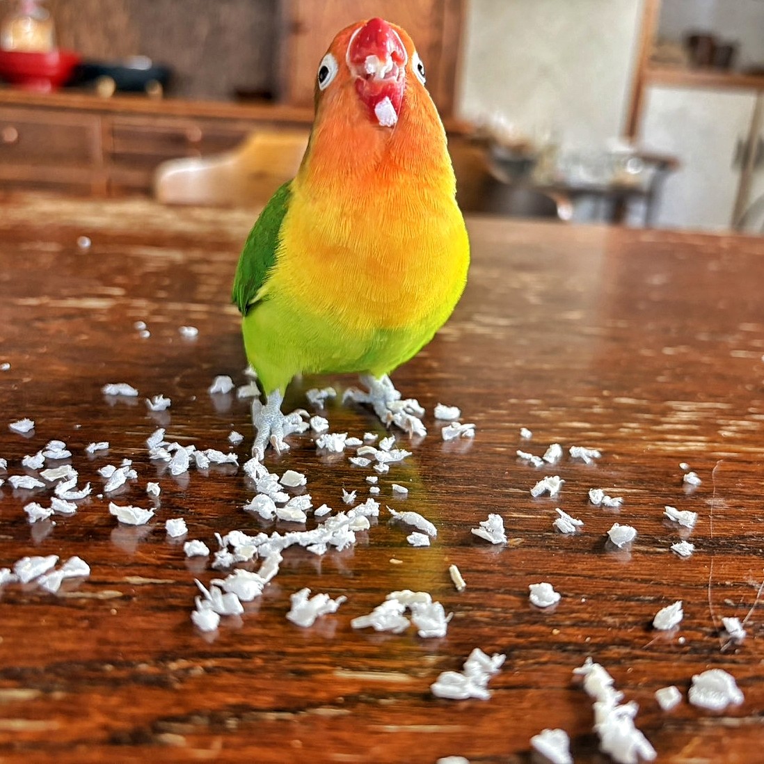 f:id:bin-paku:20260114173607j:image