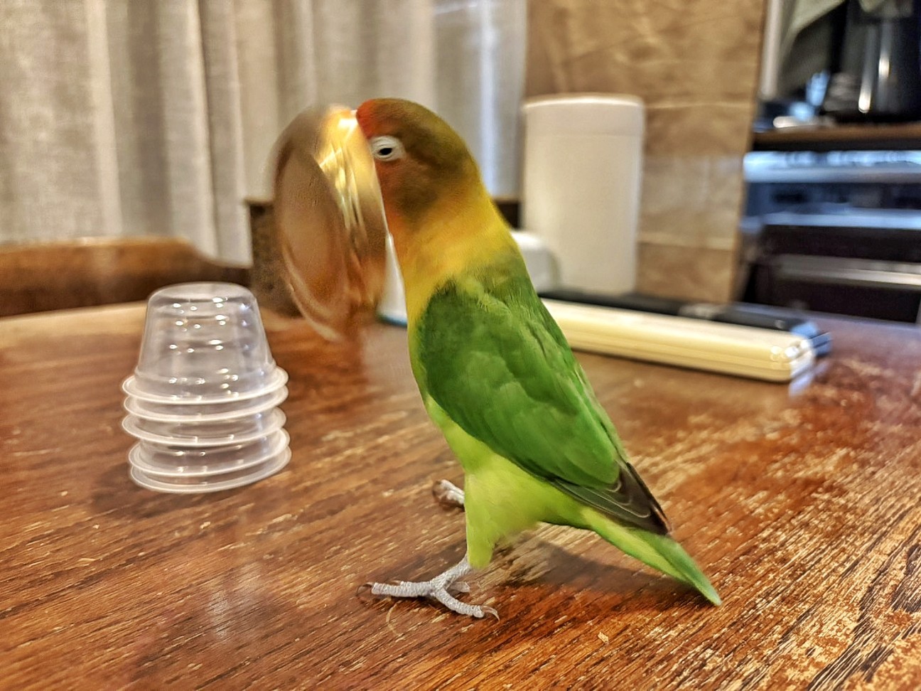 f:id:bin-paku:20260118103141j:image