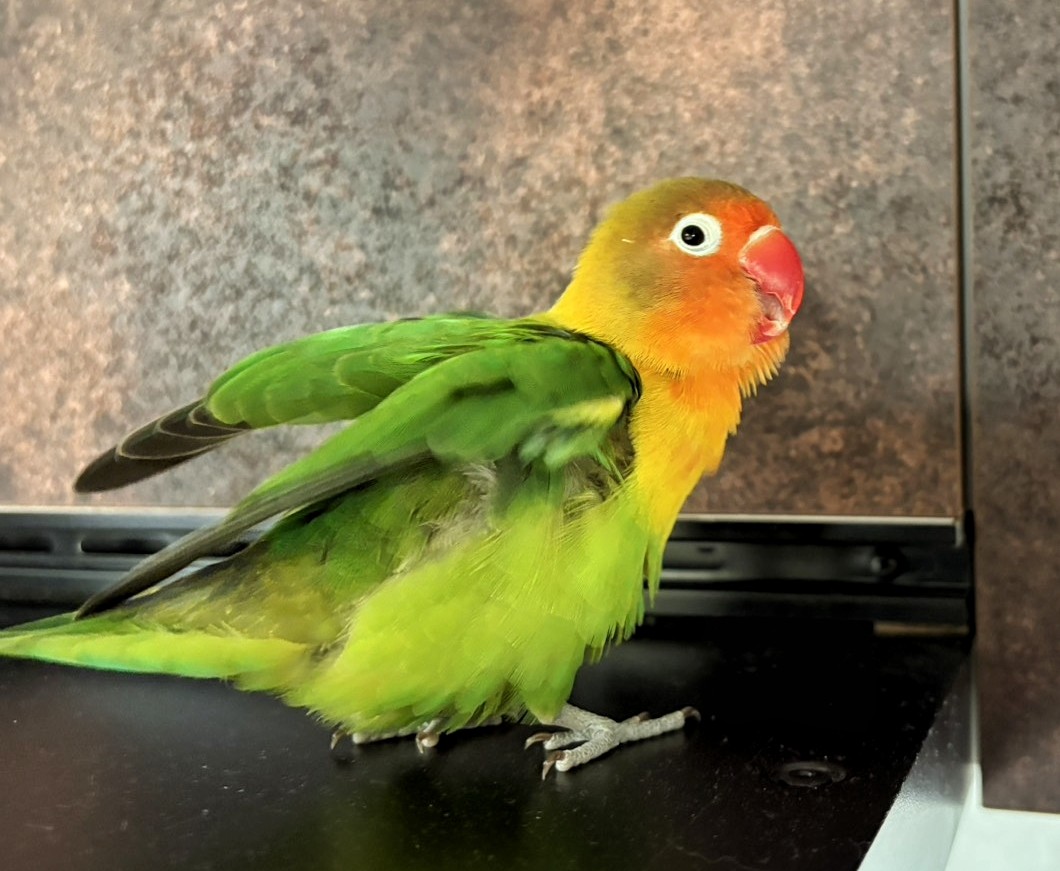 f:id:bin-paku:20260118103218j:image