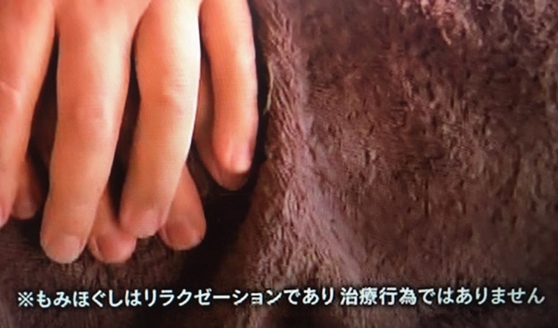 f:id:binbocchama:20171128173045j:plain f:id:binbocchama:20171128173045j:plain