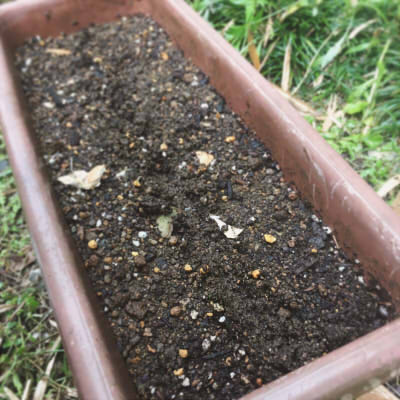 f:id:binbououji:20170520054354j:plain