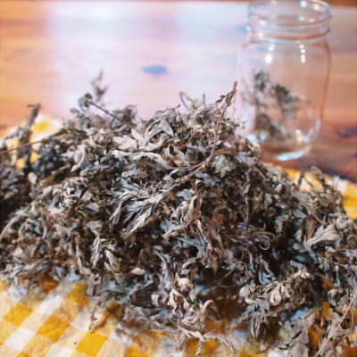 f:id:binbououji:20170526022941j:plain