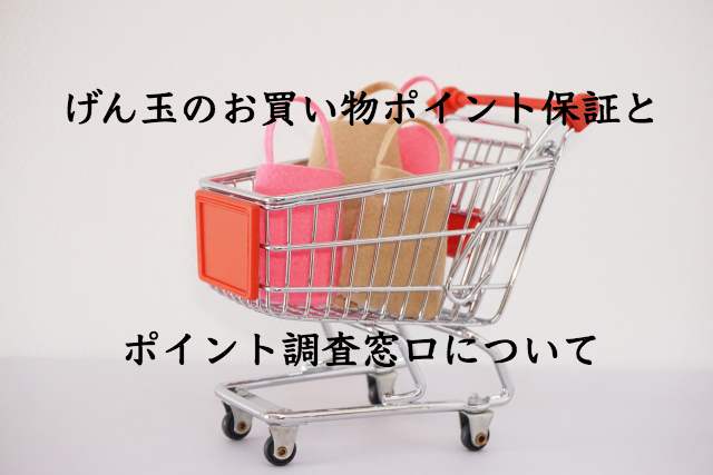 げん玉のお買い物ポイント保証制度とポイント調査窓口利用上の注意 げん玉のお買い物ポイント保証制度とポイント調査窓口利用上の注意