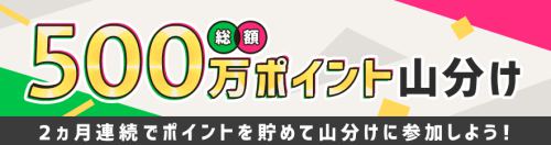 総額500万ポイント山分けキャンペーン 総額500万ポイント山分けキャンペーン