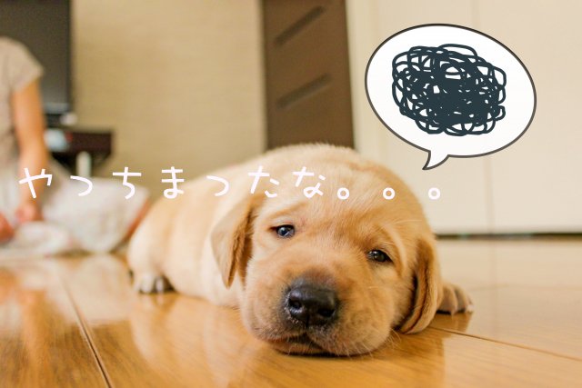 私が犯したブログの作り方に関する失敗 私が犯したブログの作り方に関する失敗