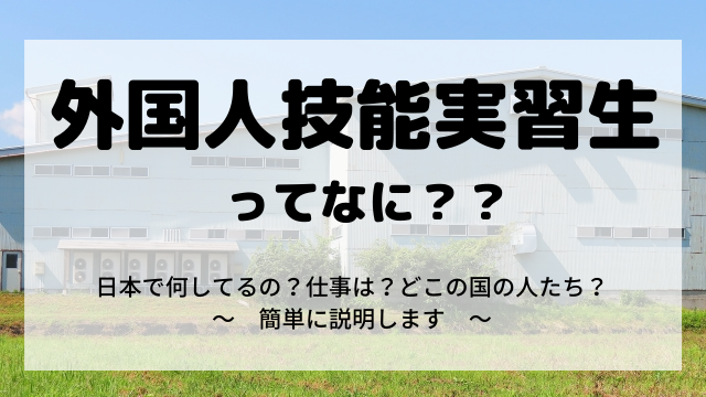 f:id:bingen0103:20210814133330p:plain
