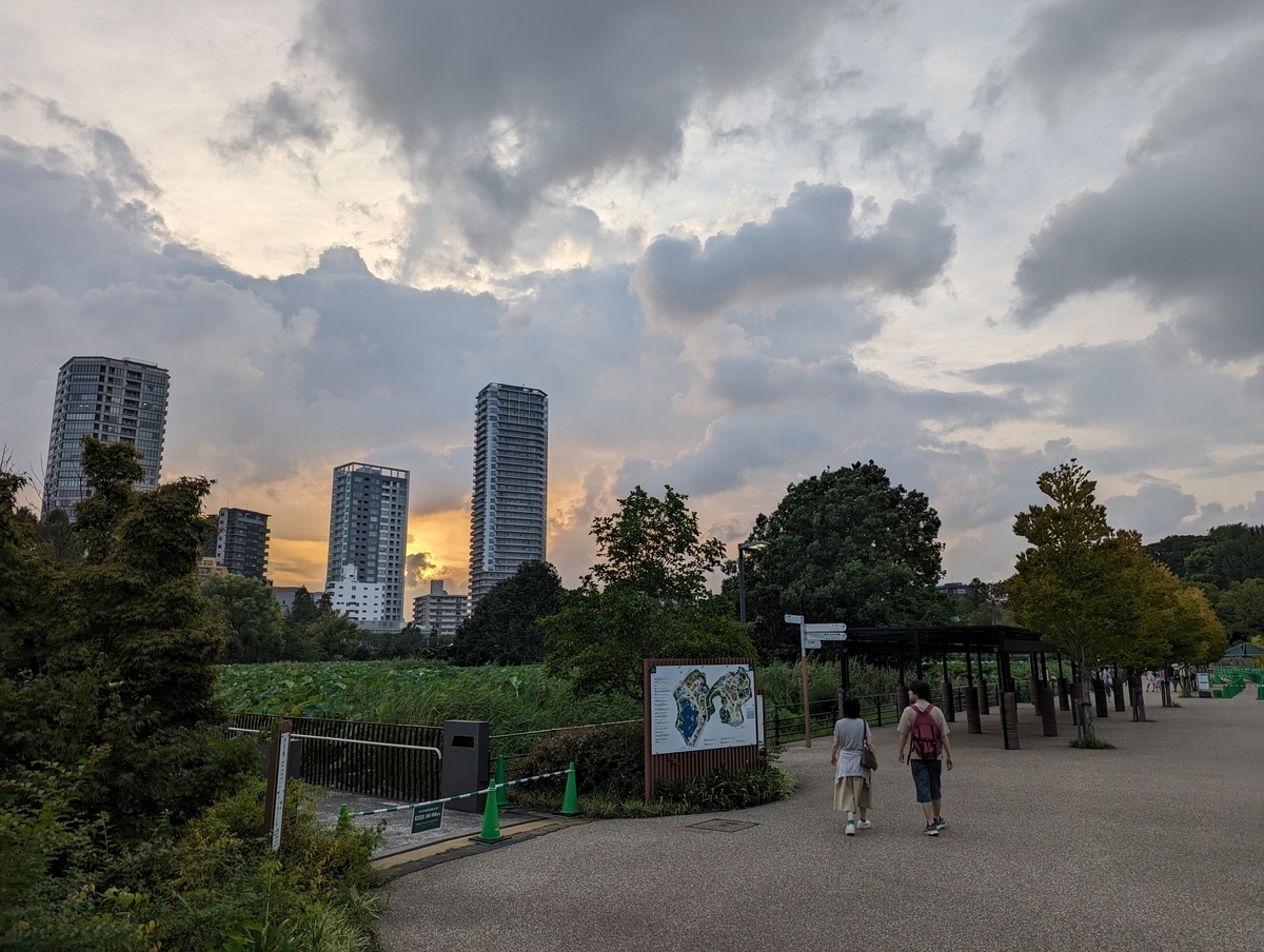 上野動物園の真夏の夜の動物園に行ってきました! - 何しよう?