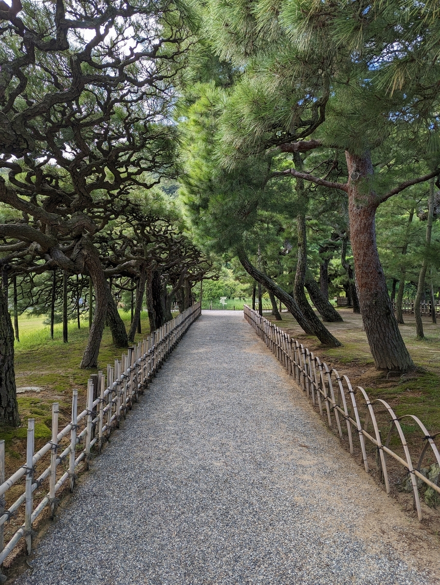 栗林公園松並木