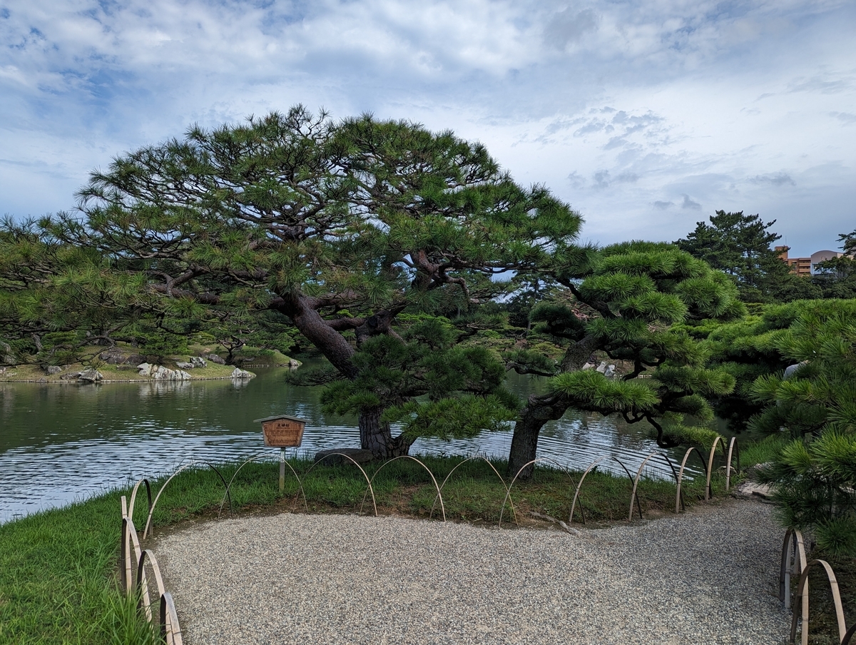 栗林公園二本松