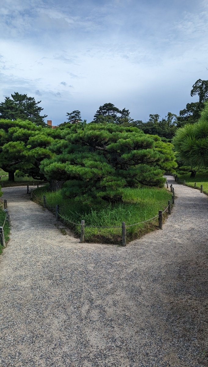 栗林公園松の分かれ道