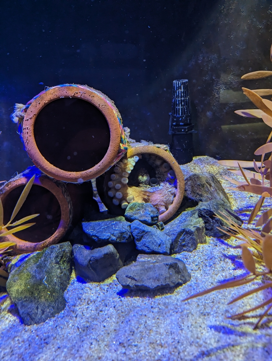 四国水族館4