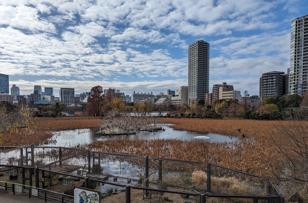 上野動物園