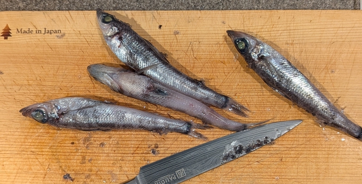 メヒカリのウロコを削ぐ
