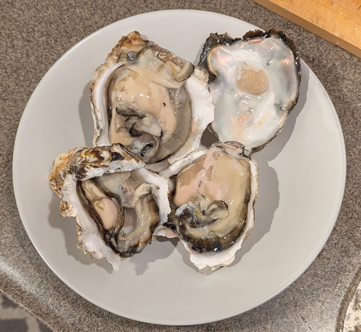 岩牡蠣