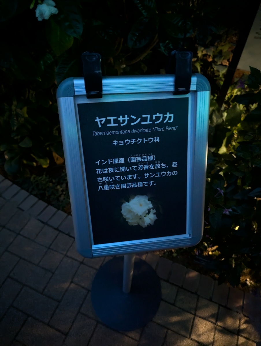 ヤエサンユウカパネル