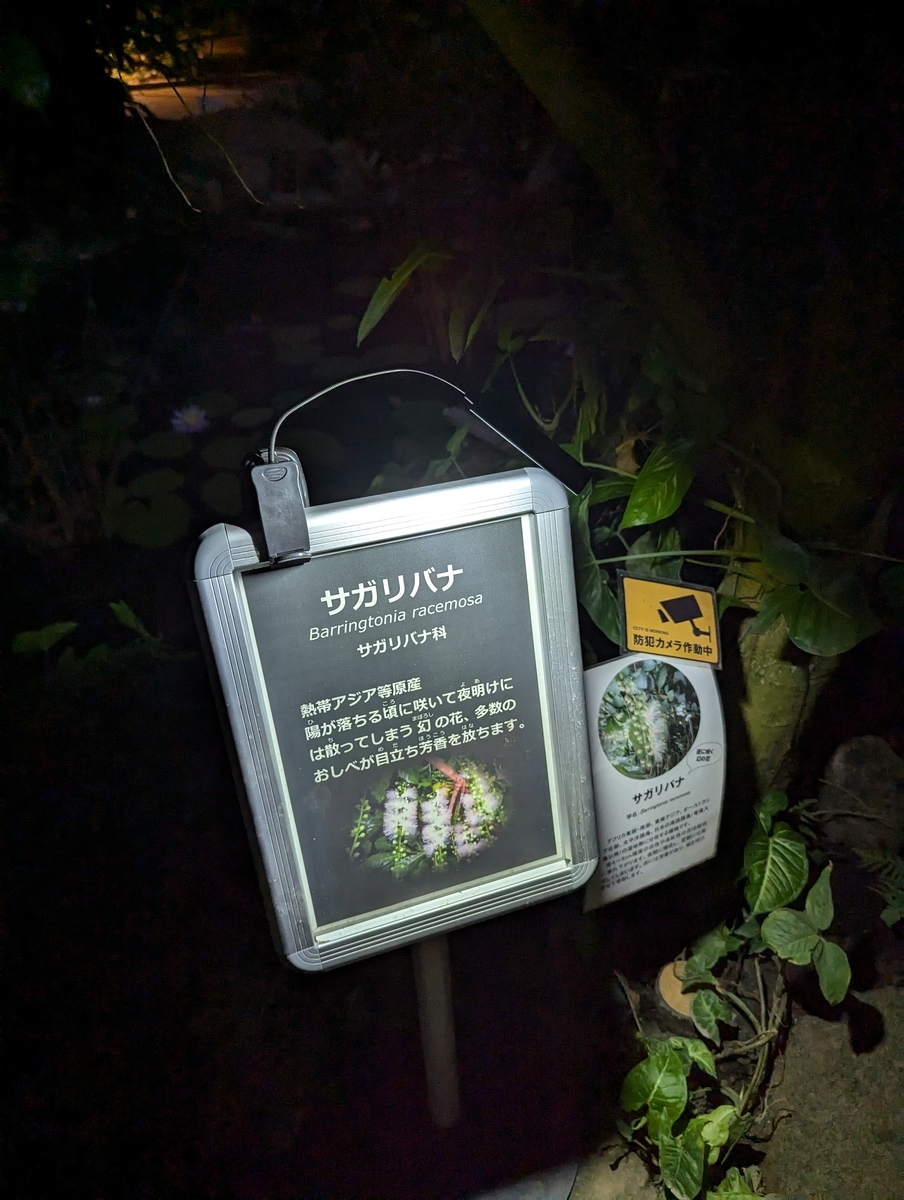 サカリバナパネル