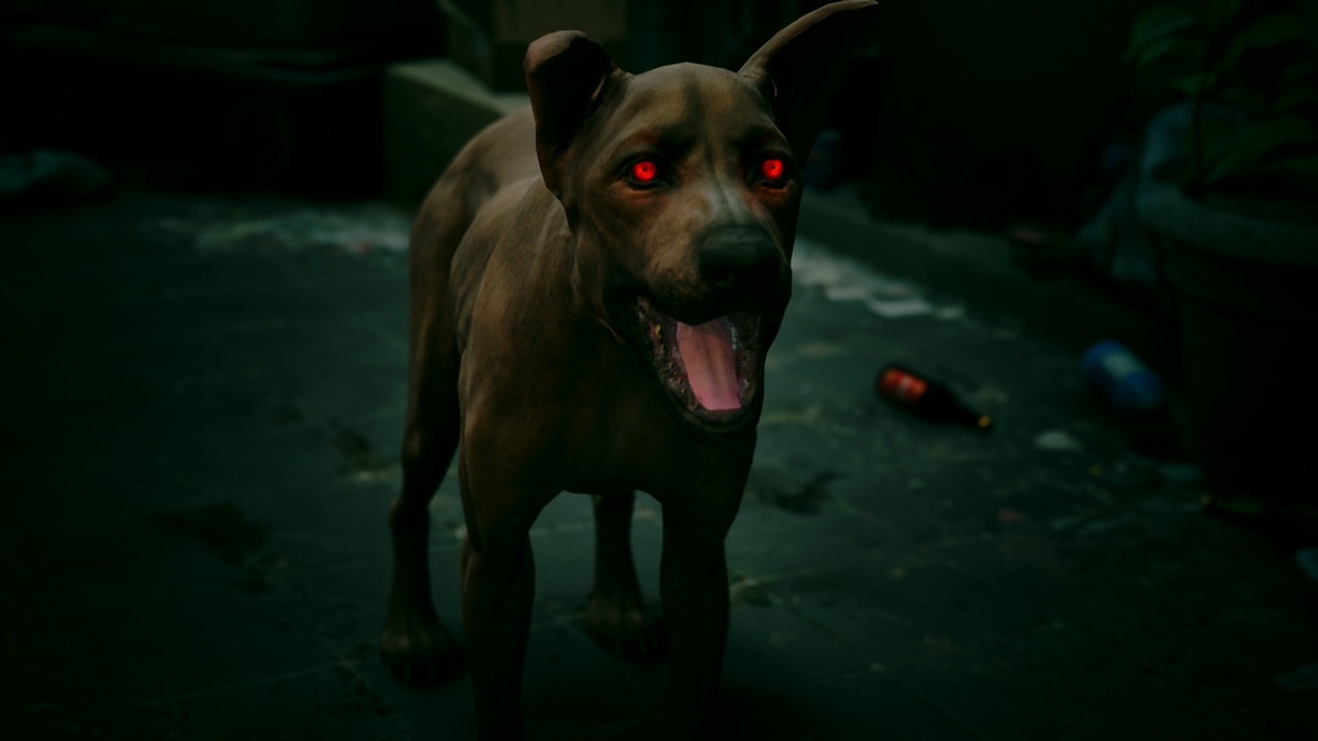 犬に憑依した夜梟