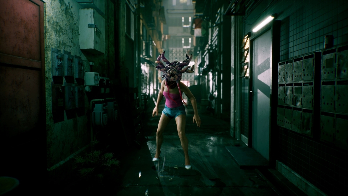 野狗子