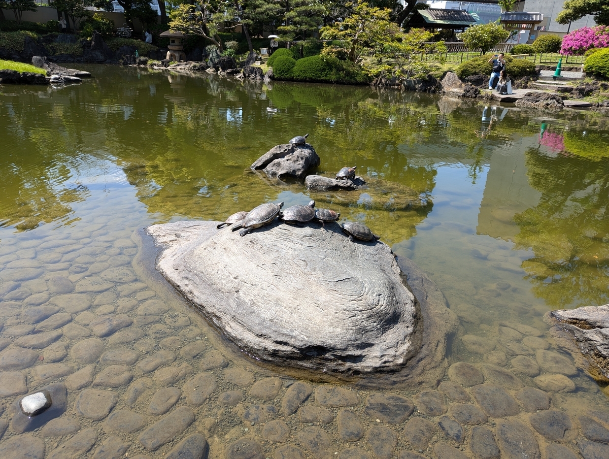 旧安田庭園⑤