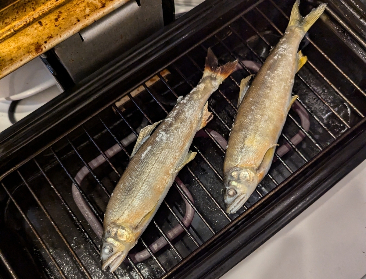 鮎の塩焼き