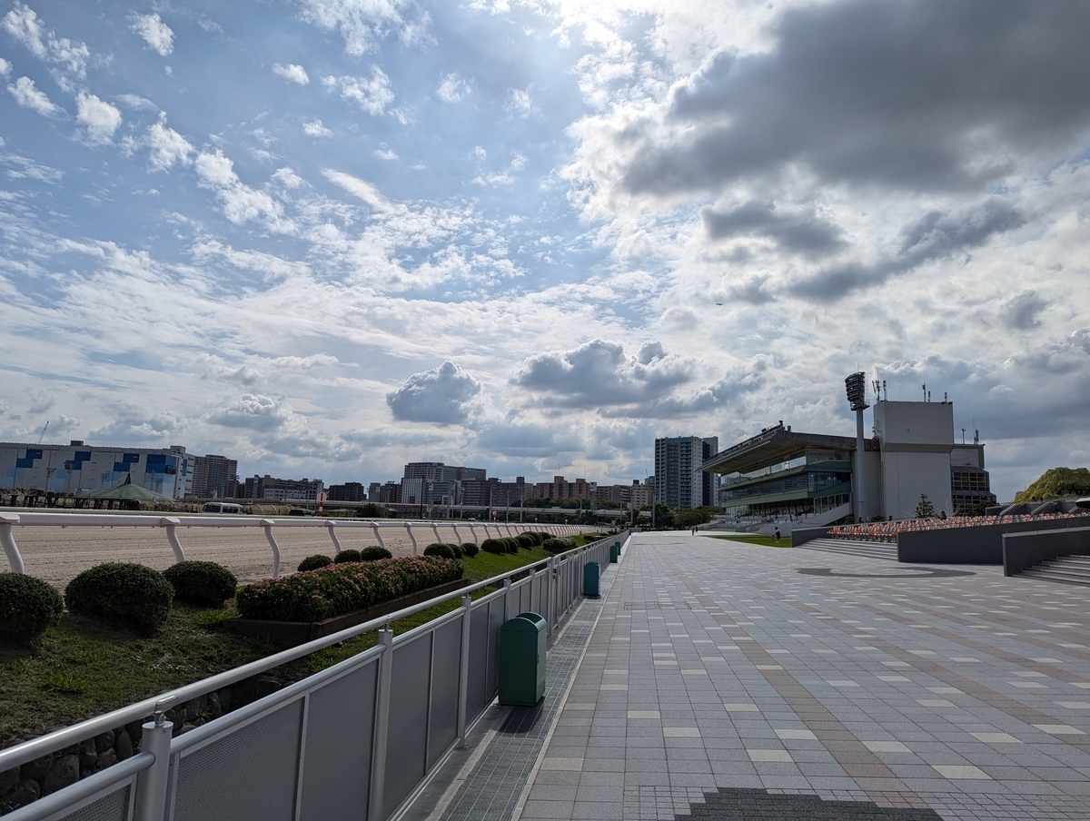 『大井競馬場』本馬場