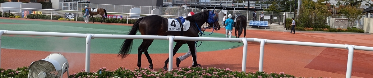 『大井競馬場』パドック④