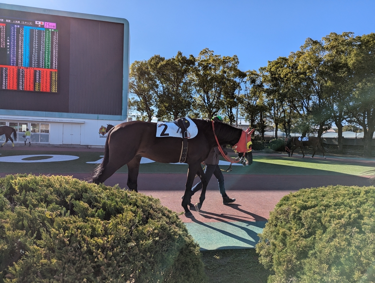 『園田競馬場』パドック①