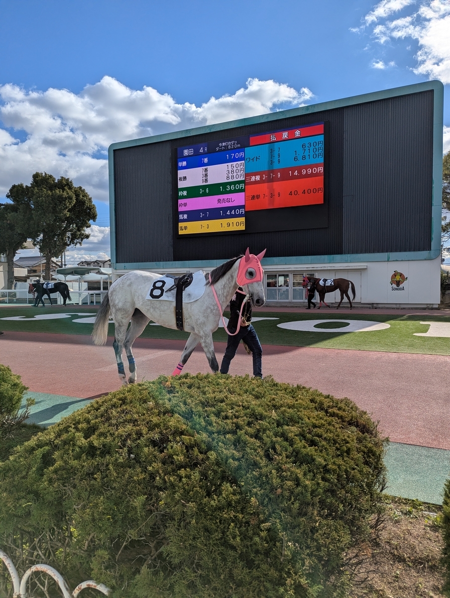 『園田競馬場』パドック②