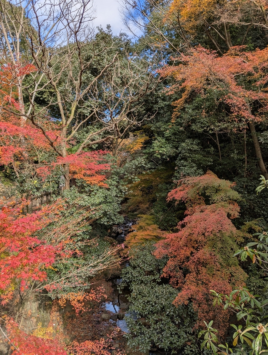 箕面公園①