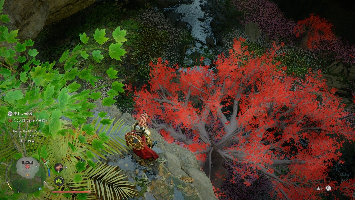 『紅の砂漠』美しい砂漠