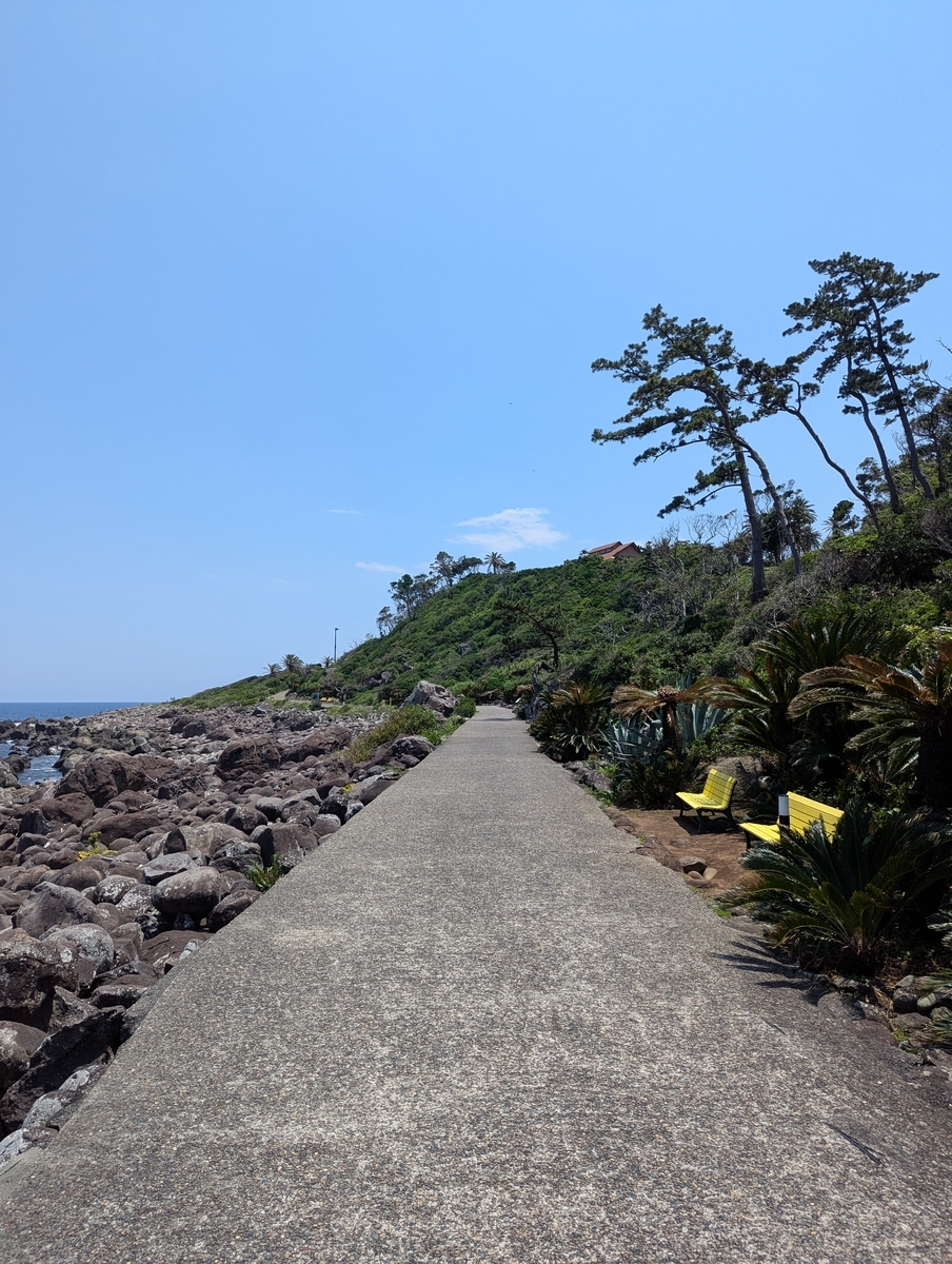 初島①