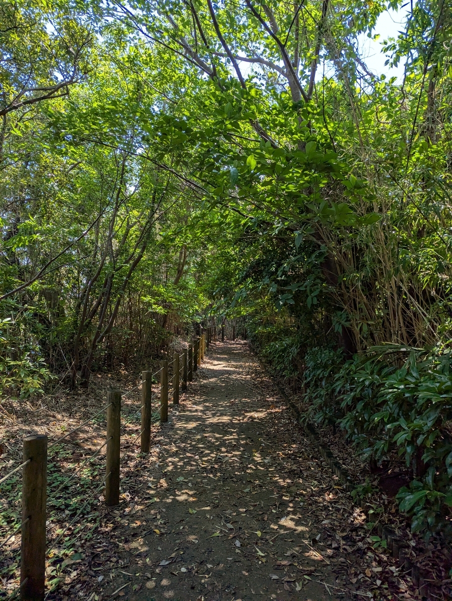 初島③