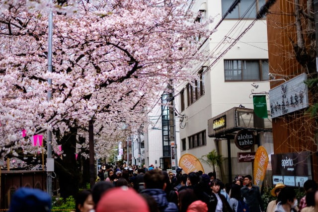 f:id:bingo-bingo-666:20180712111251j:plain f:id:bingo-bingo-666:20180712111251j:plain