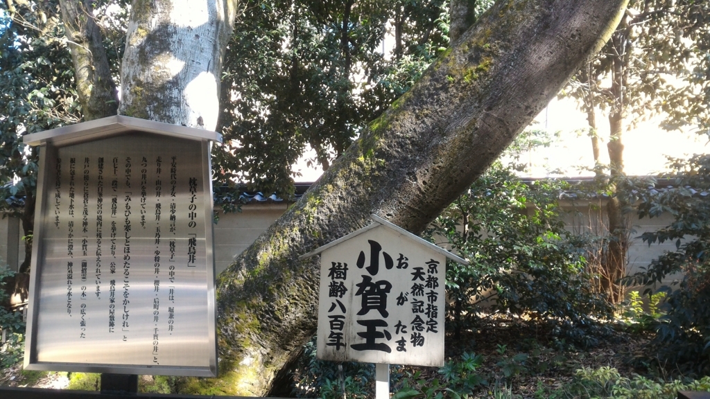 f:id:bingomarisima:20171107112219j:plain f:id:bingomarisima:20171107112219j:plain