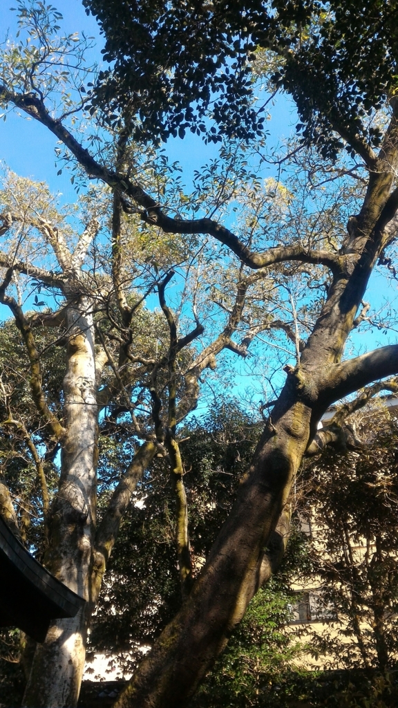 f:id:bingomarisima:20171107112414j:plain f:id:bingomarisima:20171107112414j:plain