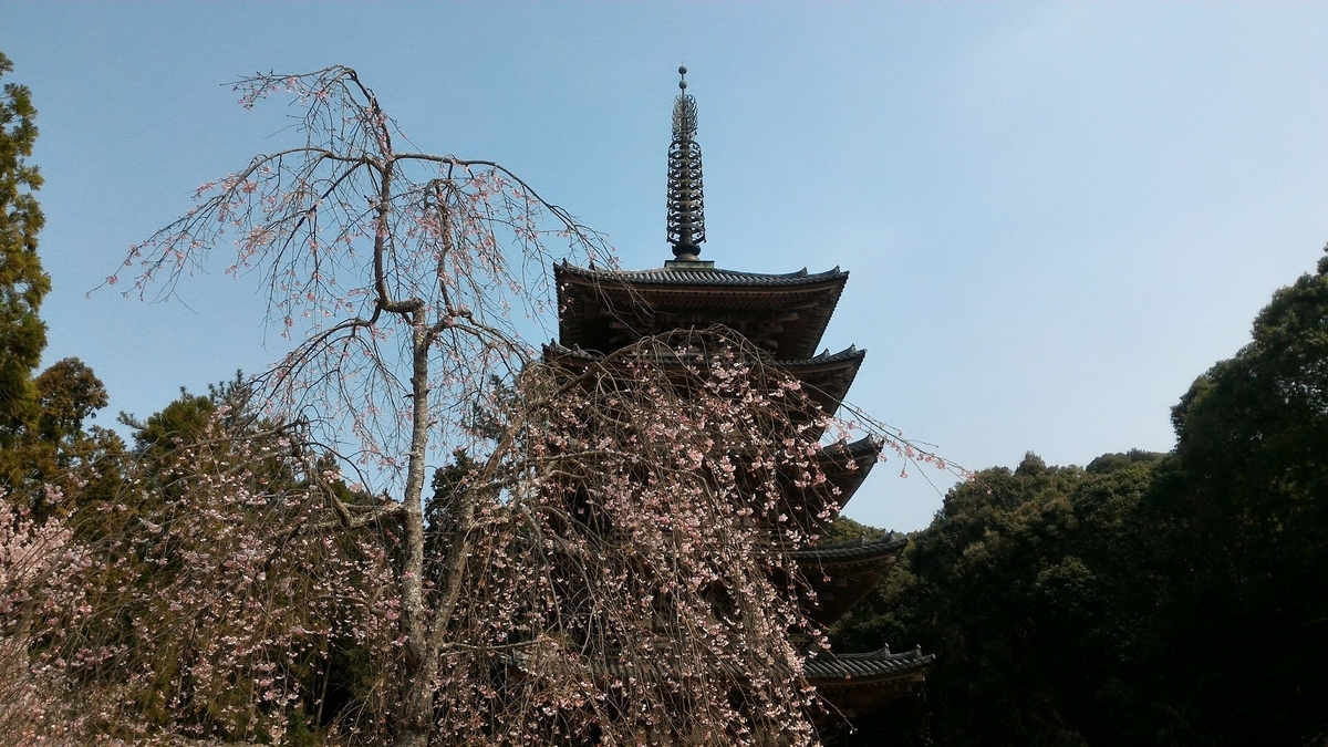 f:id:bingomarisima:20190330131940j:plain f:id:bingomarisima:20190330131940j:plain