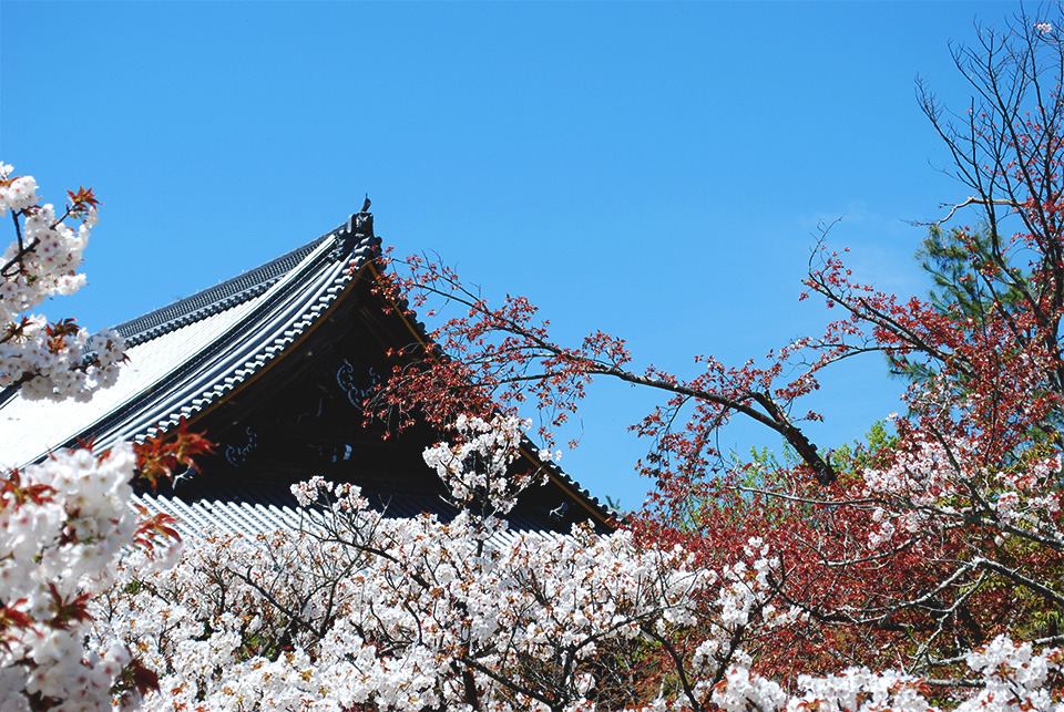 f:id:binisai:20190416212619j:plain