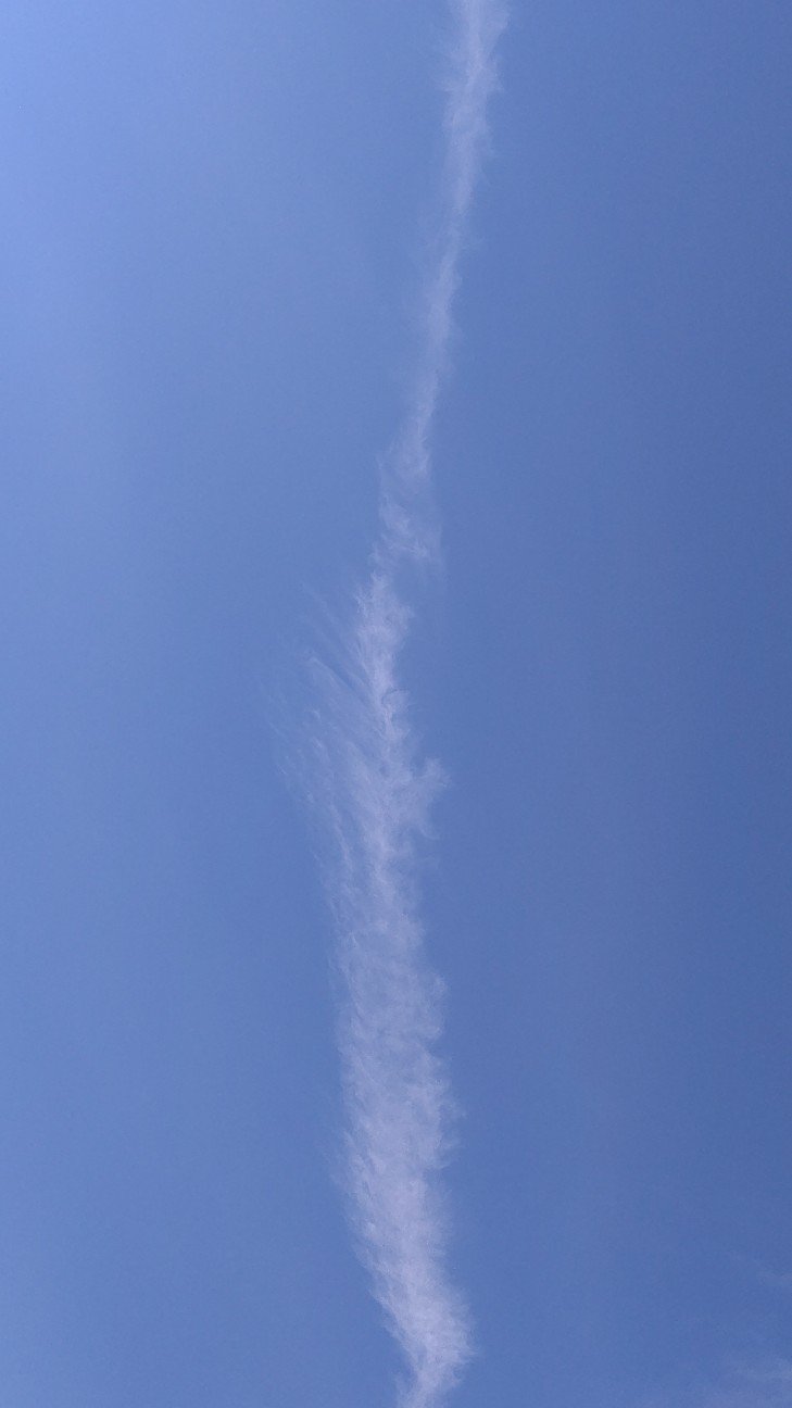 f:id:binju1202:20200208135232j:image