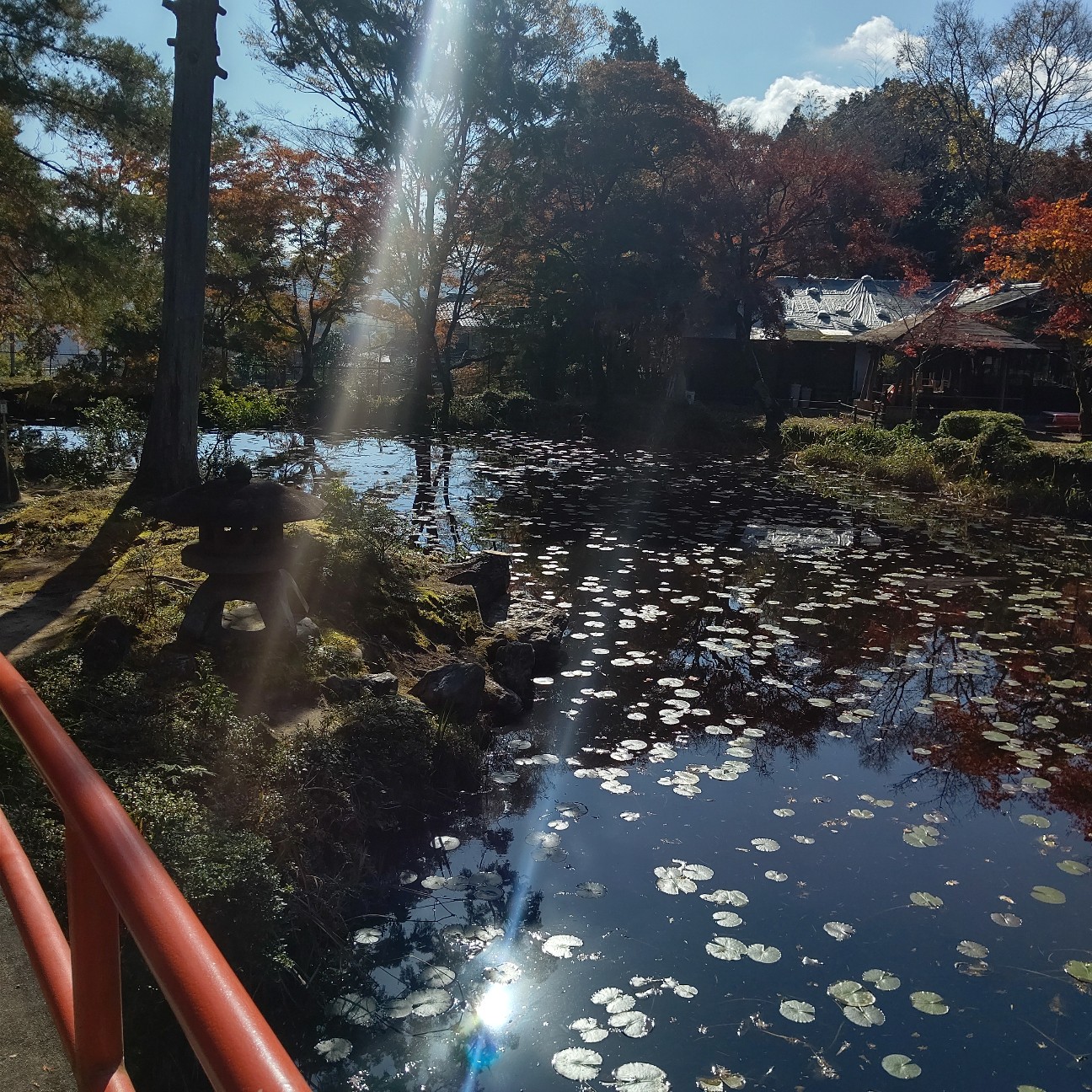 f:id:binju1202:20201130164652j:image