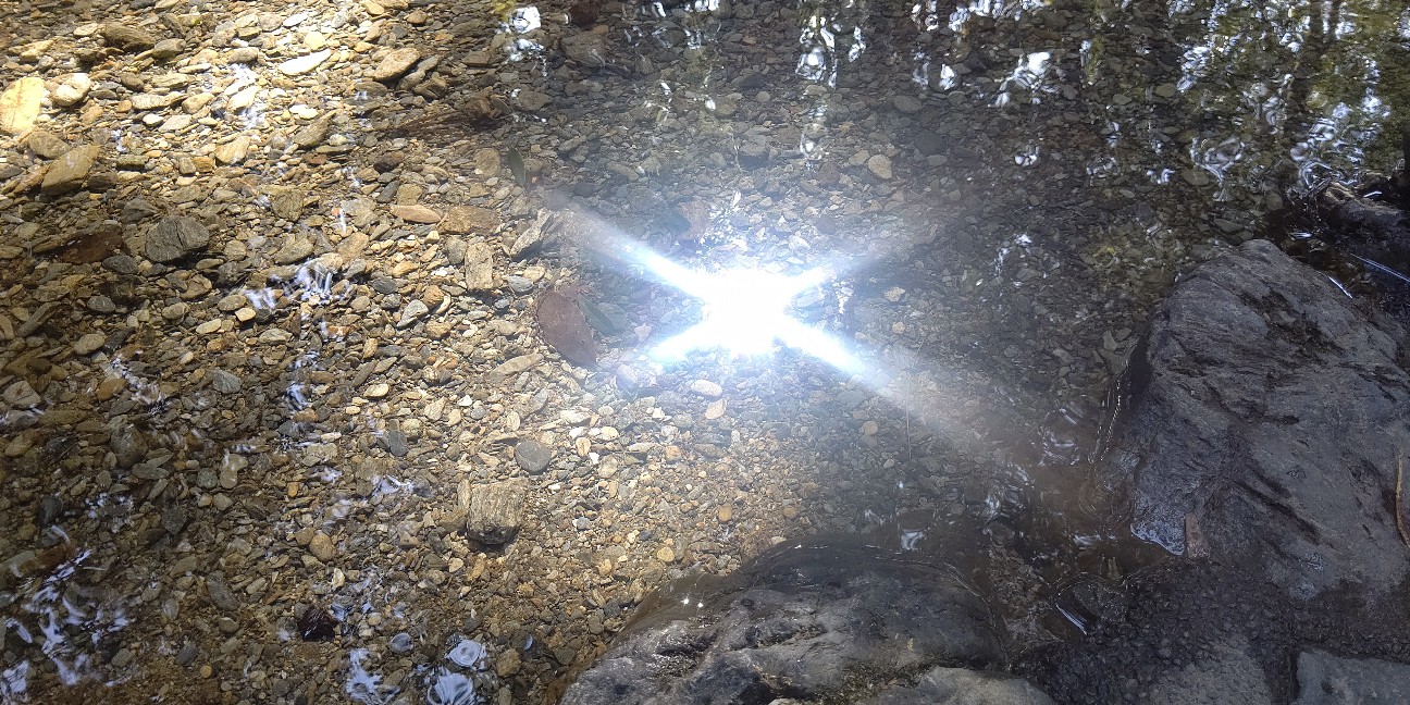 f:id:binju1202:20210228142125j:image