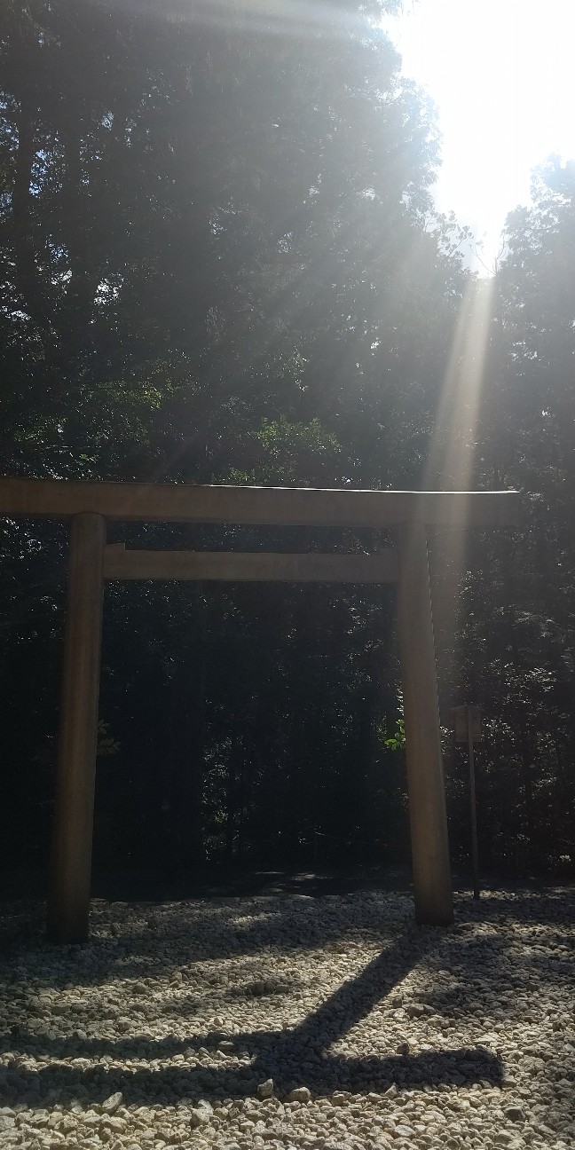 f:id:binju1202:20210228142418j:image