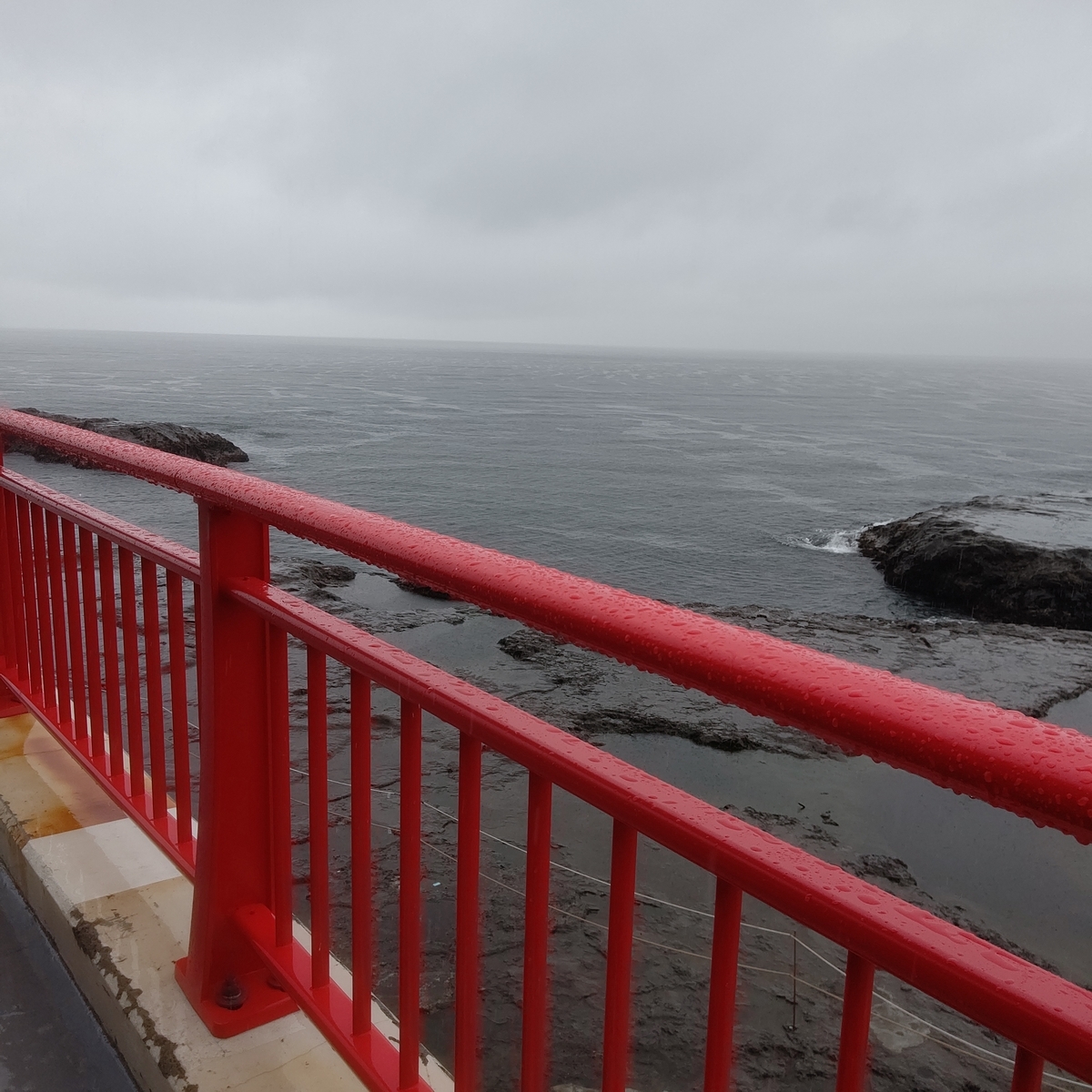 f:id:binju1202:20210529161703j:plain