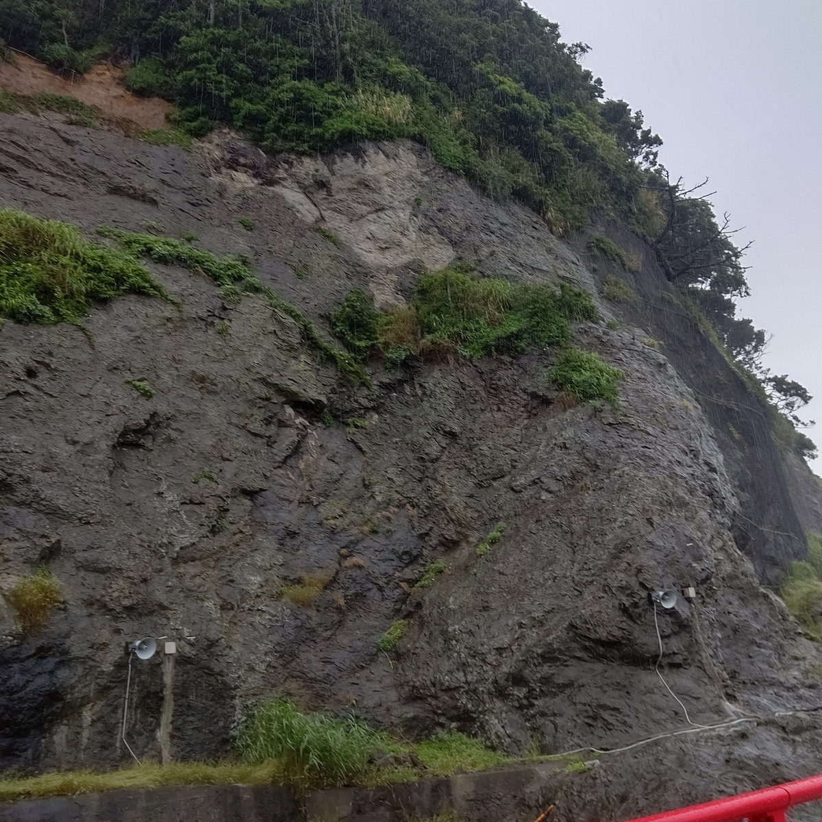 f:id:binju1202:20210529161928j:plain