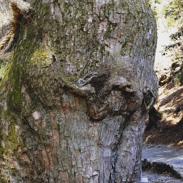 f:id:binju1202:20220401004004j:image