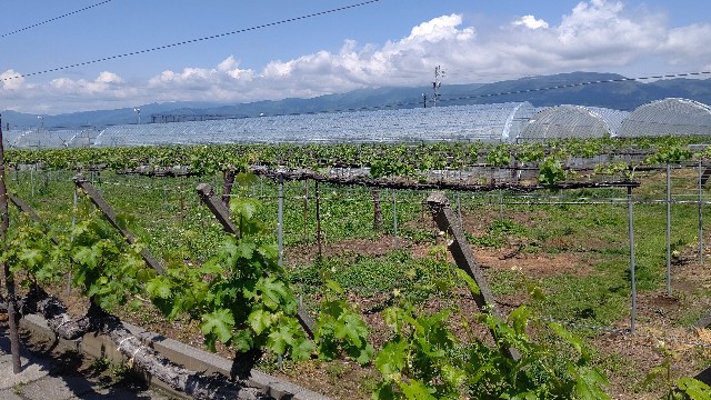 f:id:binju1202:20230520132421j:image